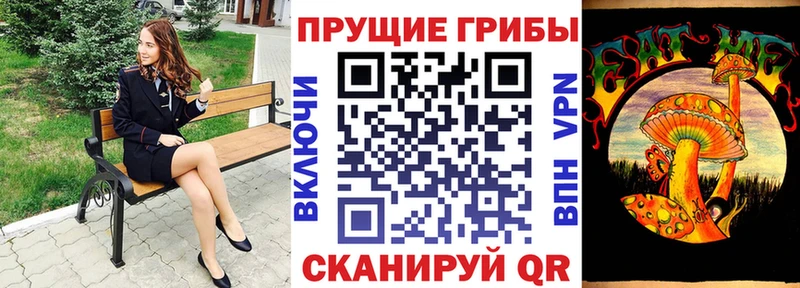 Купить  Знаменск  Галлюциногенные грибы Psilocybine cubensis 